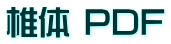 椎体 PDF