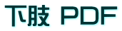 下肢 PDF