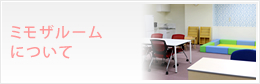 ミモザルームについて