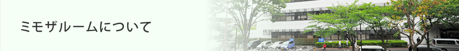 ミモザルームについて