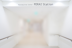 本館からMIRAI Stationへと続くアプローチ。