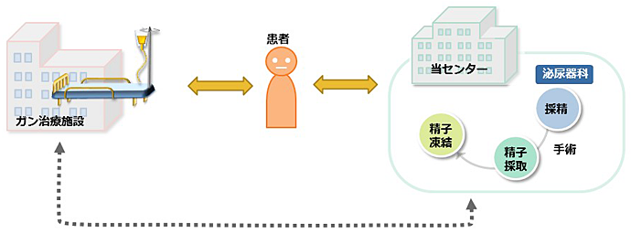 がん治療にともなう妊孕性温存のための精子凍結保存の概要イメージ