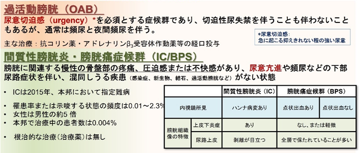 (図1)膀胱知覚異常が疑われる疾患
