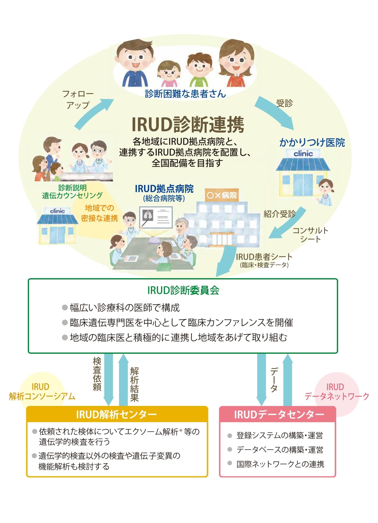 IRUD診療体制