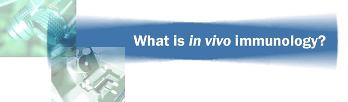What is in vivo Immunology?