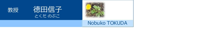 @c MqiƂ ̂ԂCNobuko TOKUDAj